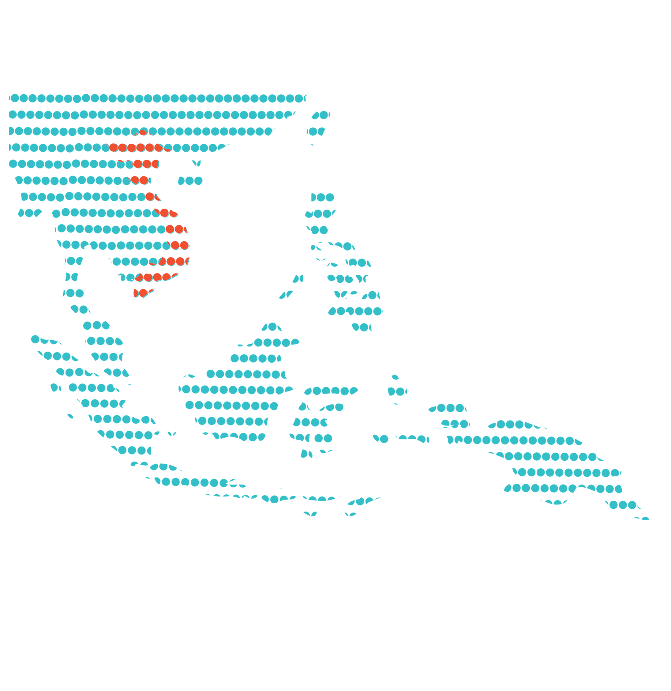Vietnam map